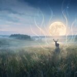 Thumbnail of related posts 152