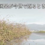 Thumbnail of related posts 098
