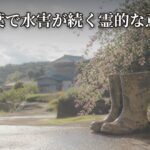 Thumbnail of related posts 130