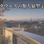 Thumbnail of related posts 105