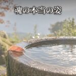 Thumbnail of related posts 181