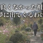 Thumbnail of related posts 098