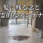 Thumbnail of related posts 018
